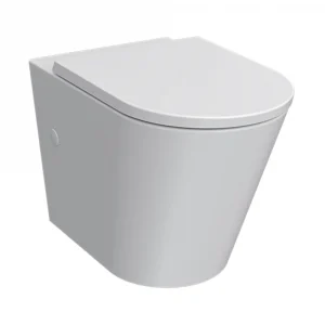 Parisi Linfa Wall Faced Rimless Toilet