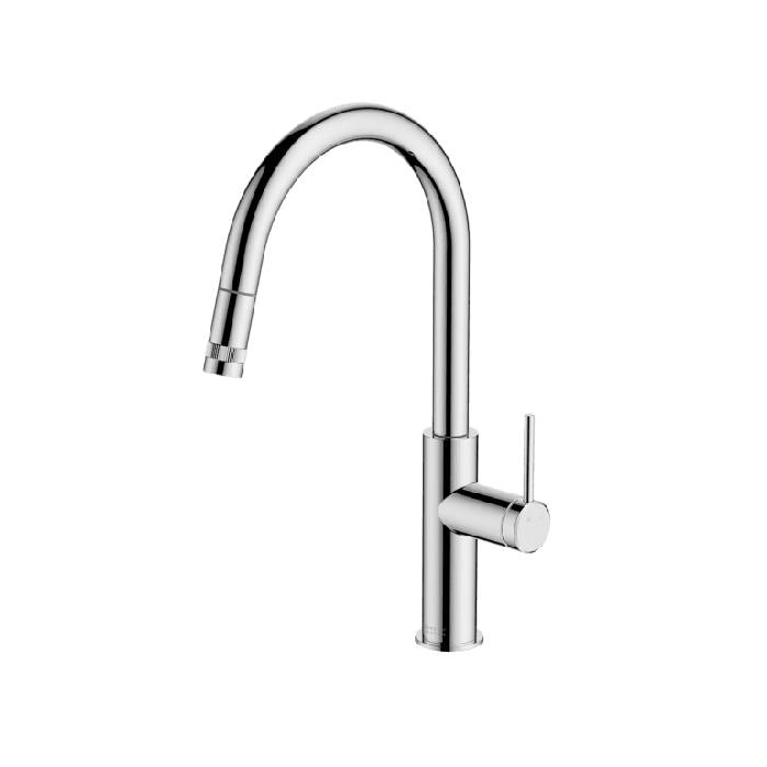 Poco Kitchen Mixer with Pullout Spout