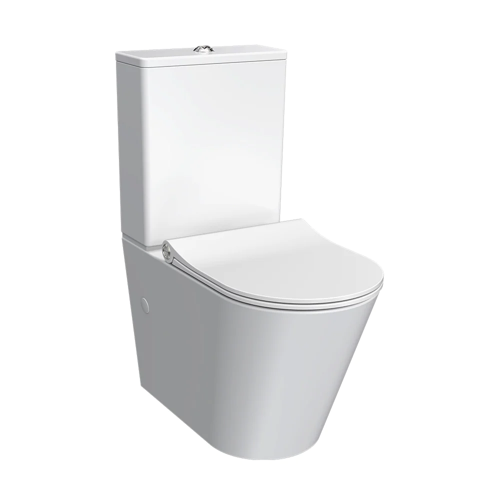 Parisi Linfa Wall Faced Suite Rimless (including Pressalit Seat)