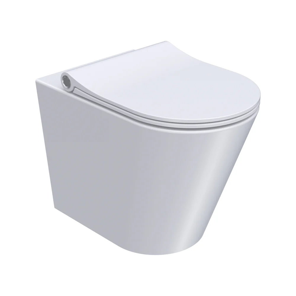 Parisi Linfa Wall Faced Pan Rimless (including Pressalit Seat)